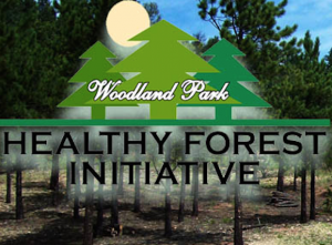 Woodland Park Healthy Forest Initiative 