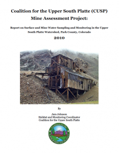 mine assessment project report