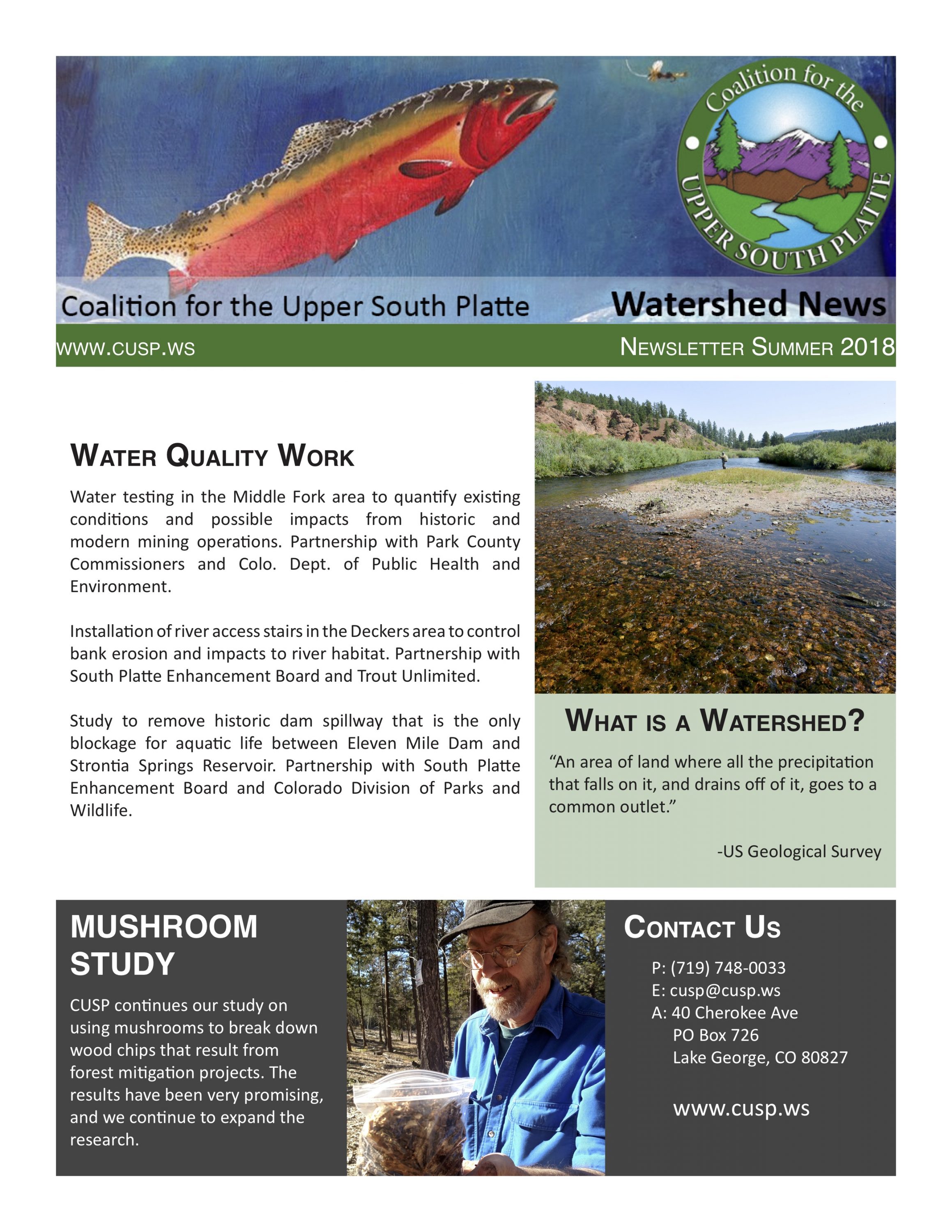 Newsletter front page- Summer 2018